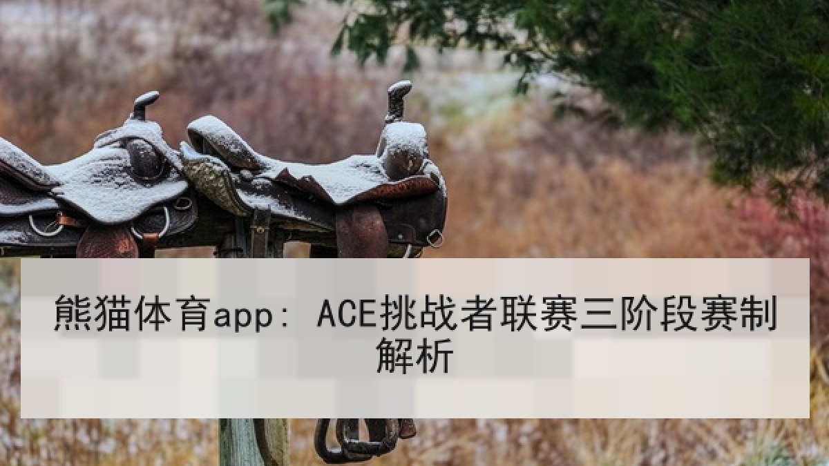 熊猫体育app: ACE挑战者联赛三阶段赛制解析