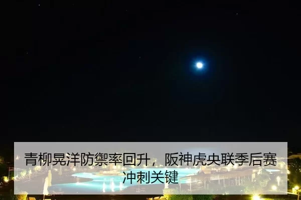 青柳晃洋防禦率回升，阪神虎央联季后赛冲刺关键